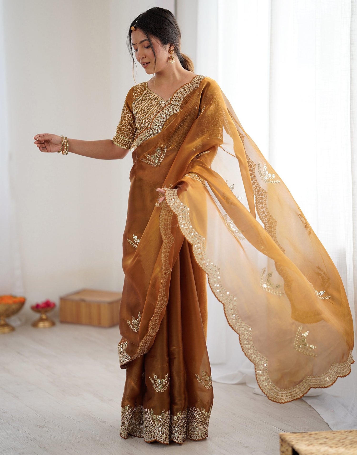 Brown Tissue Silk Sequence Embroidery Saree