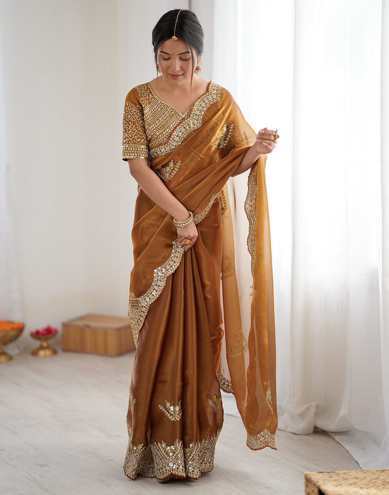 Brown Tissue Silk Sequence Embroidery Saree