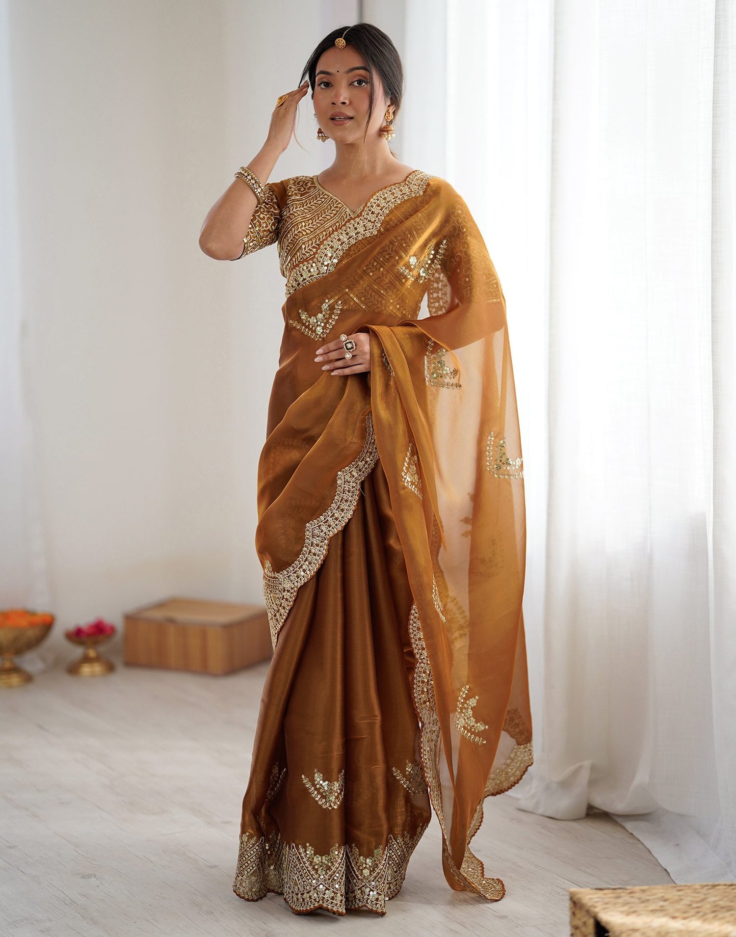 Brown Tissue Silk Sequence Embroidery Saree