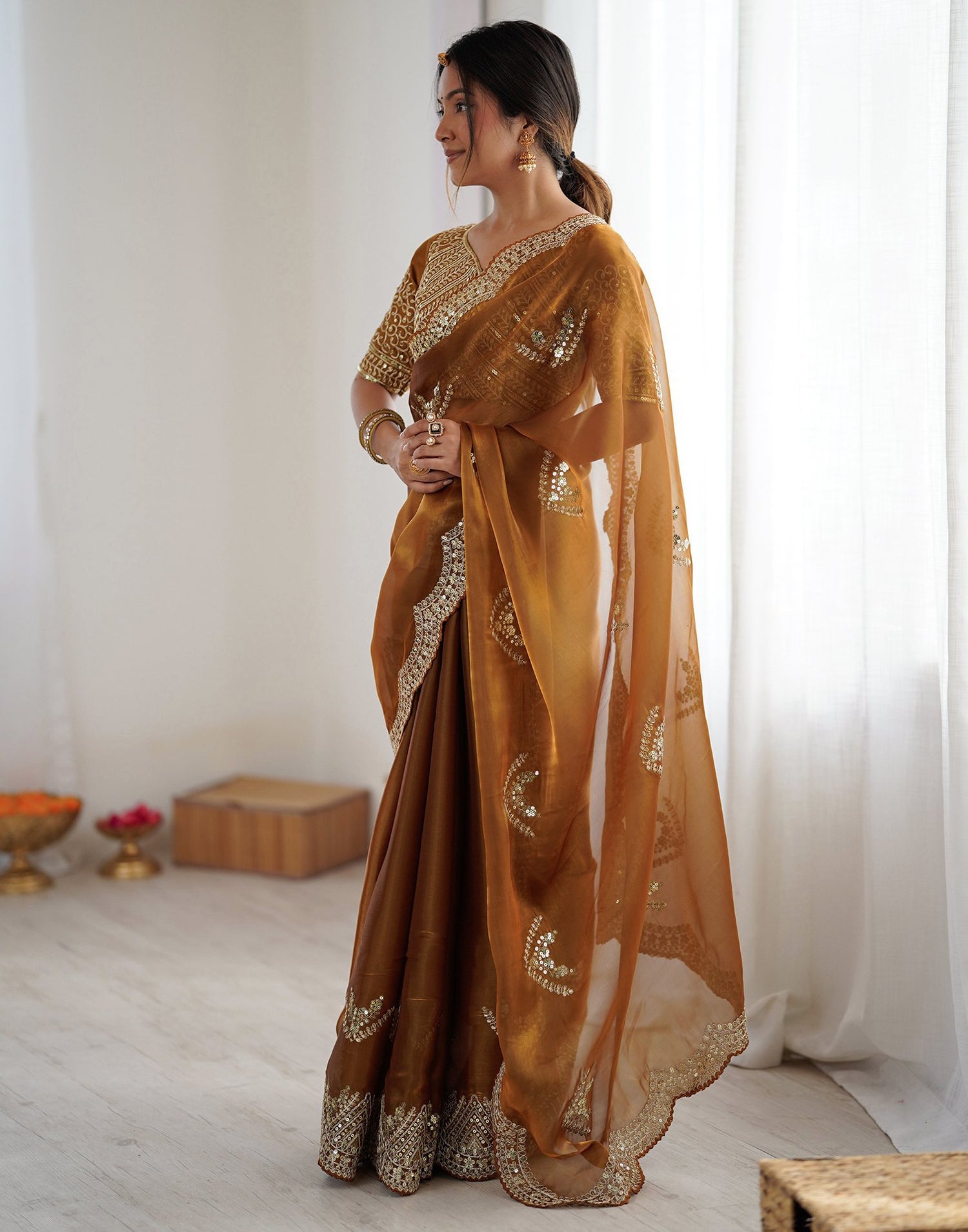 Brown Tissue Silk Sequence Embroidery Saree