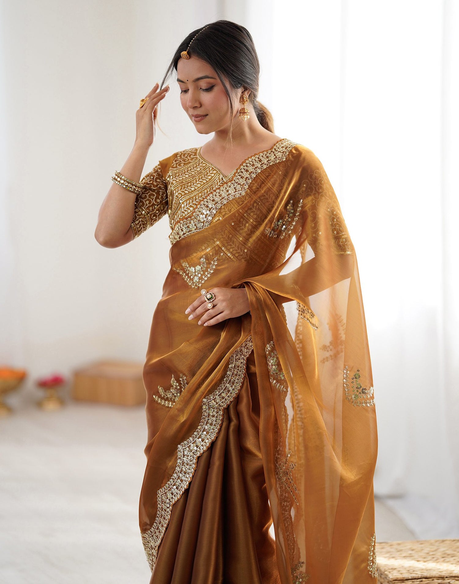 Brown Tissue Silk Sequence Embroidery Saree