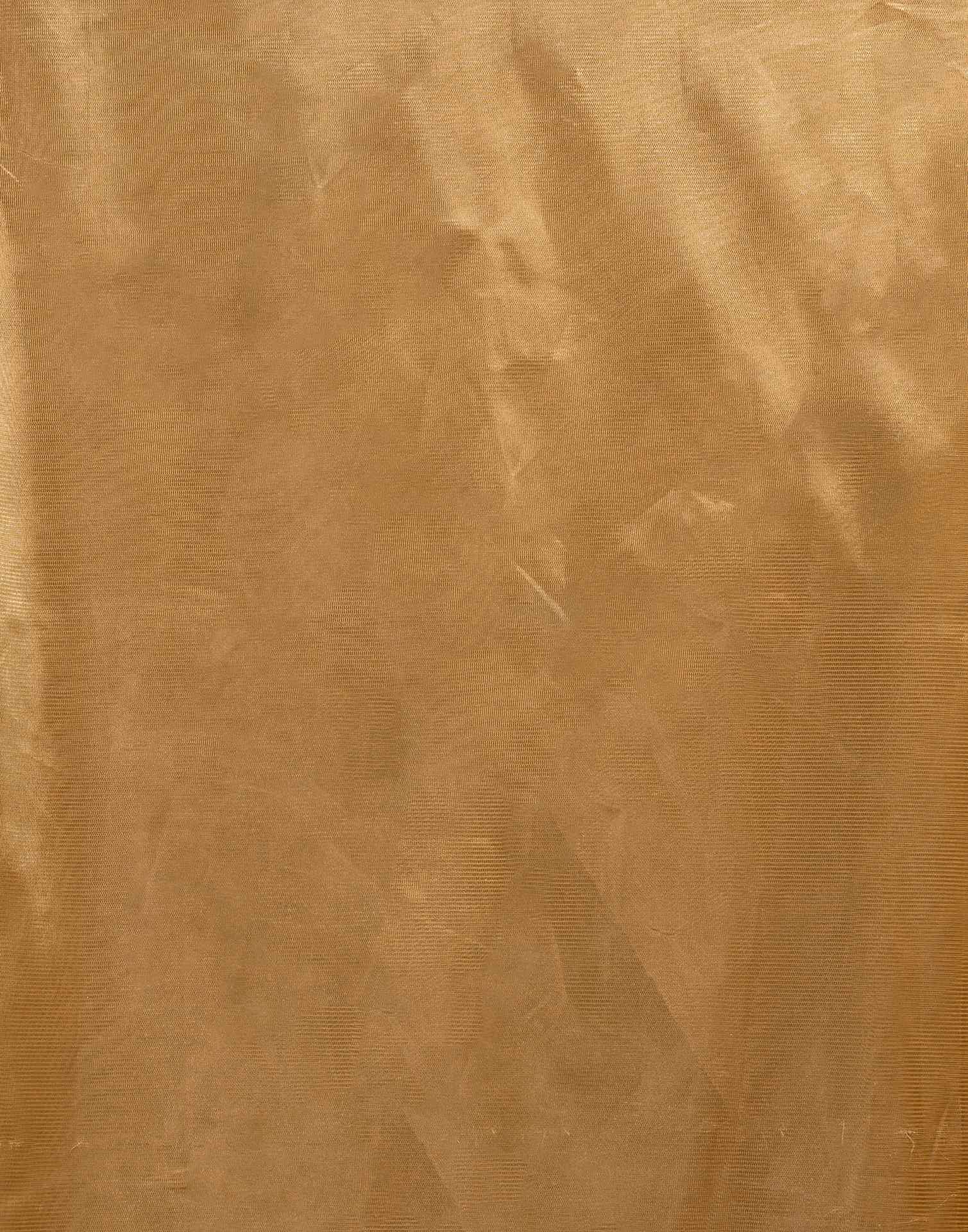 Golden Shimmer Tissue Top Dyed Woven Saree