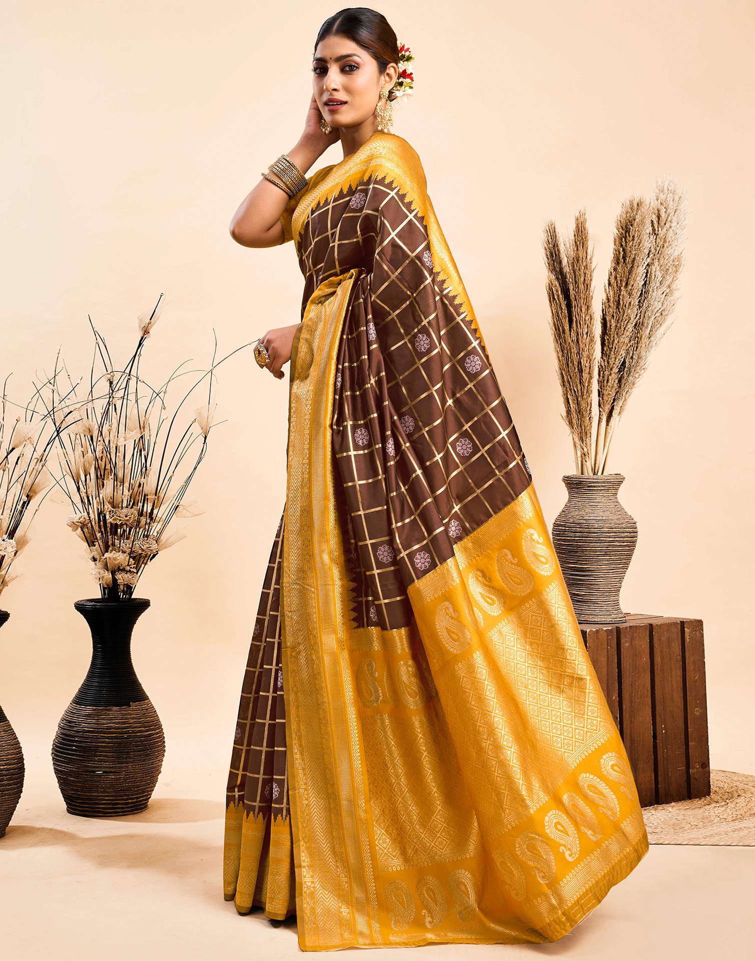 Brown Silk Woven Kanjivaram Saree
