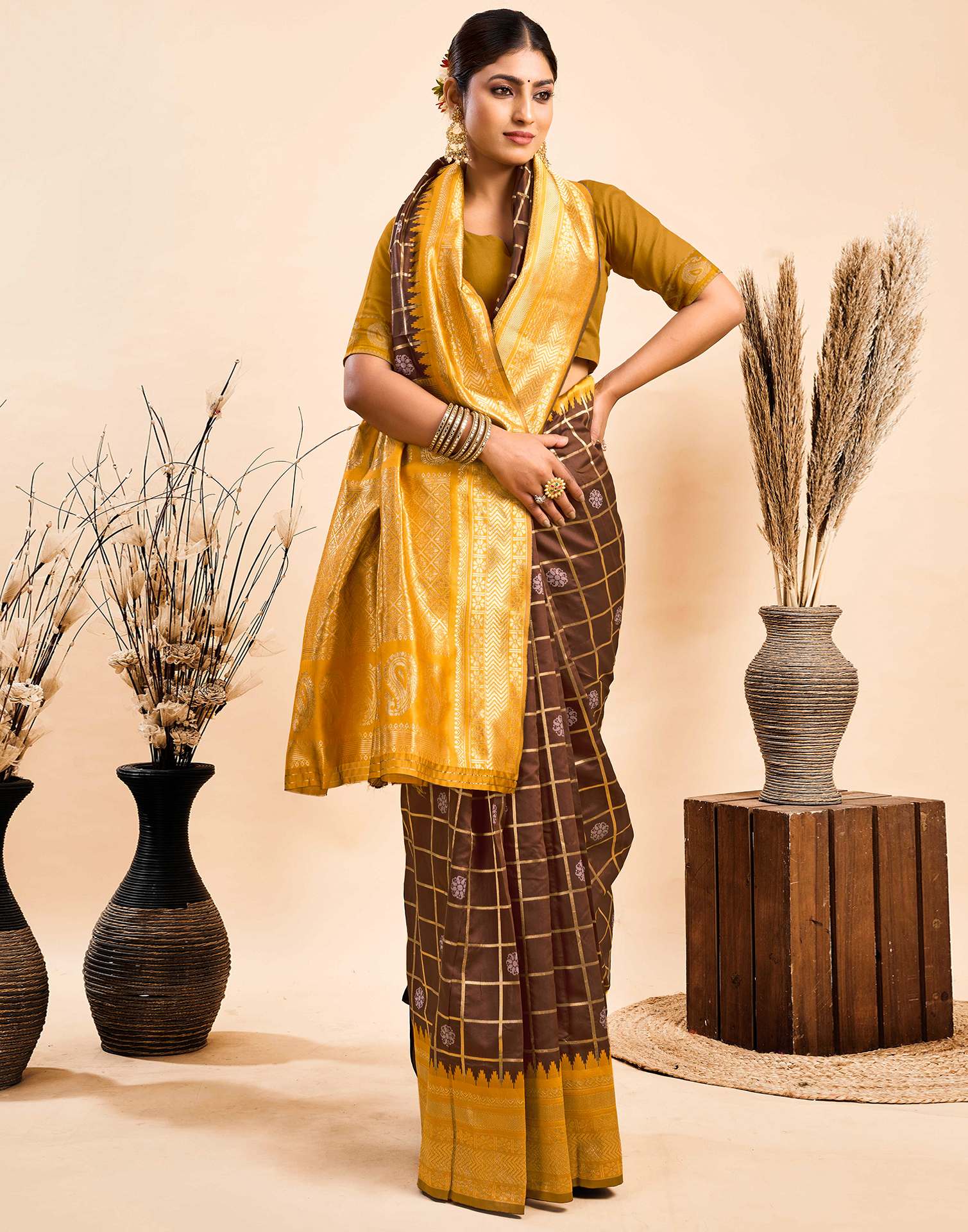 Brown Silk Woven Kanjivaram Saree