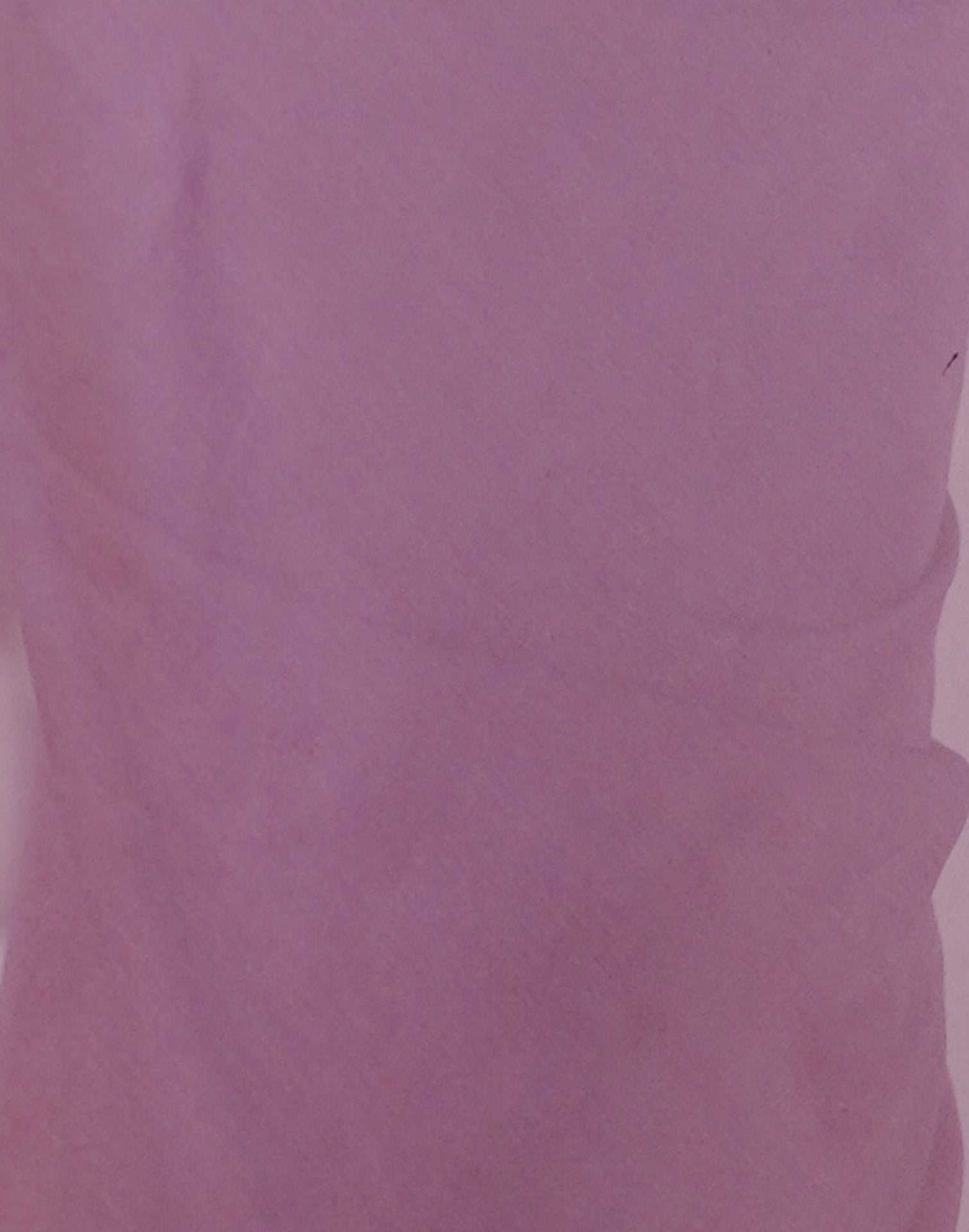 Mauve Georgette Lace Saree