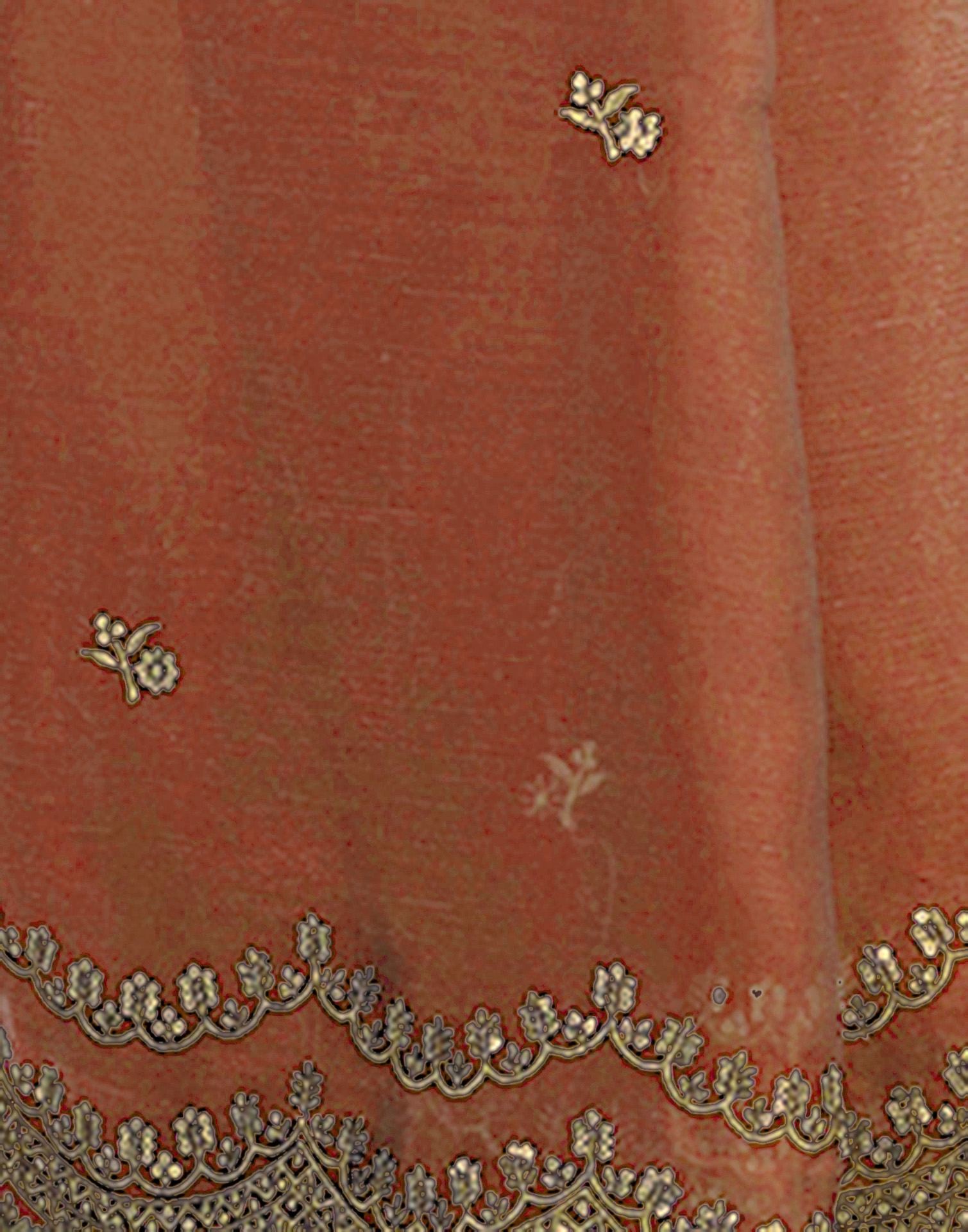 Dusty Orange Shimmer Sequence Embroidery Saree