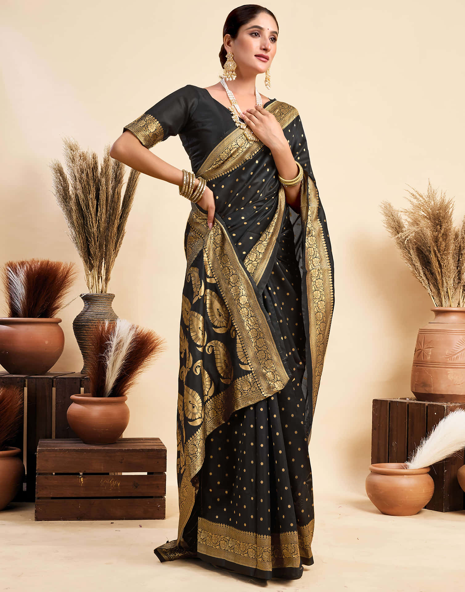 Black Silk Woven Banarasi Saree