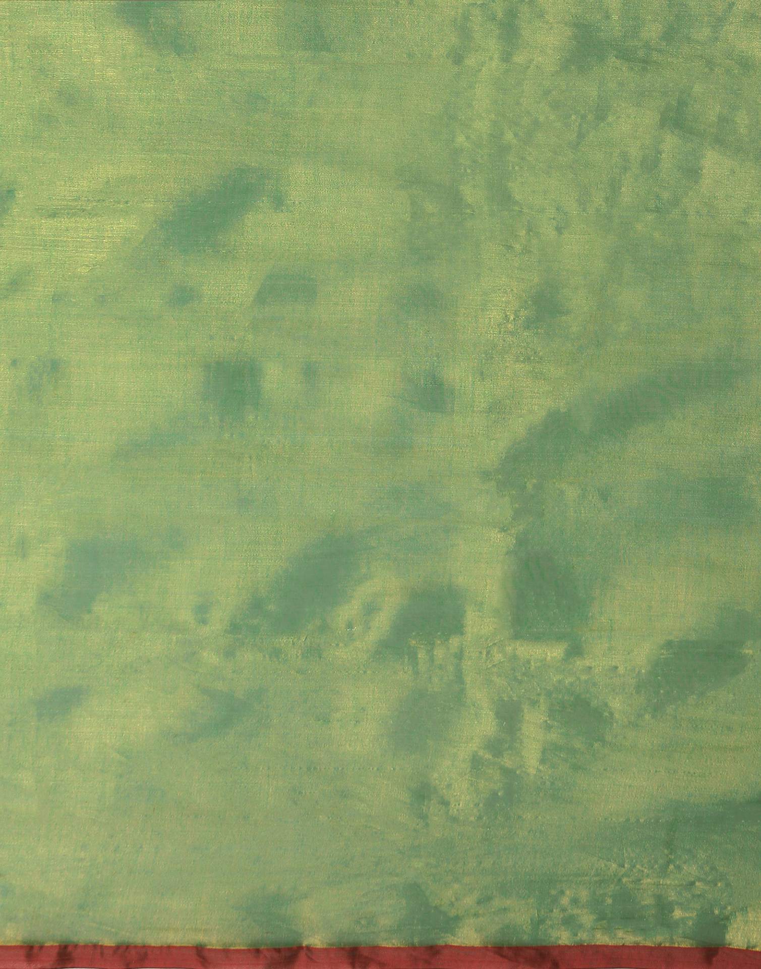 Mint Green Tissue Silk Top Dyed Kanjivaram Saree