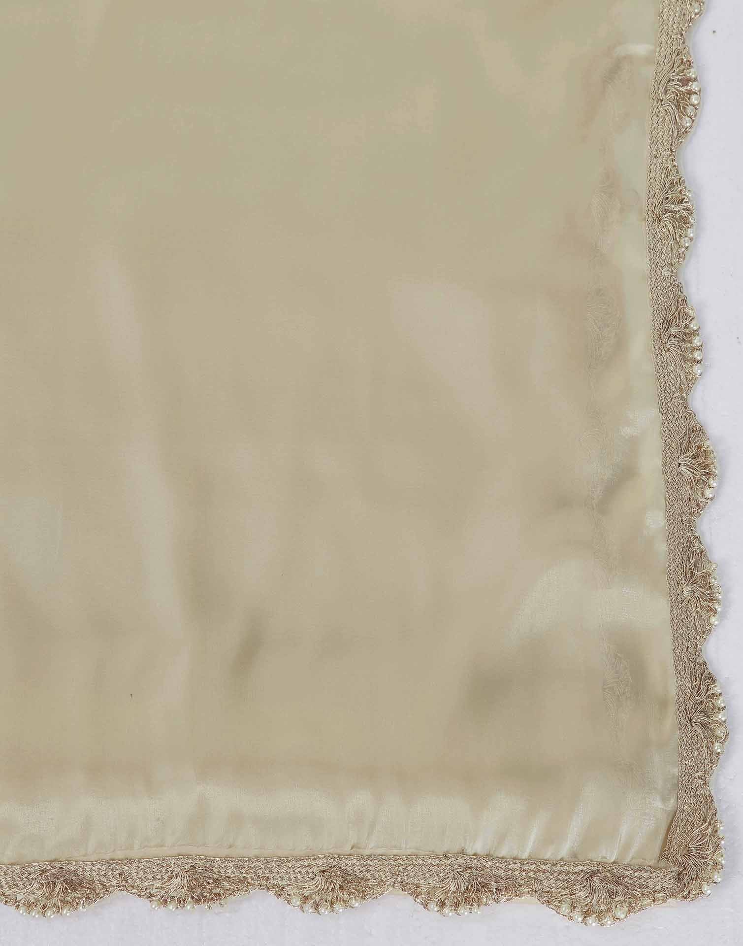 Beige Tissue Silk Lace Plain Saree