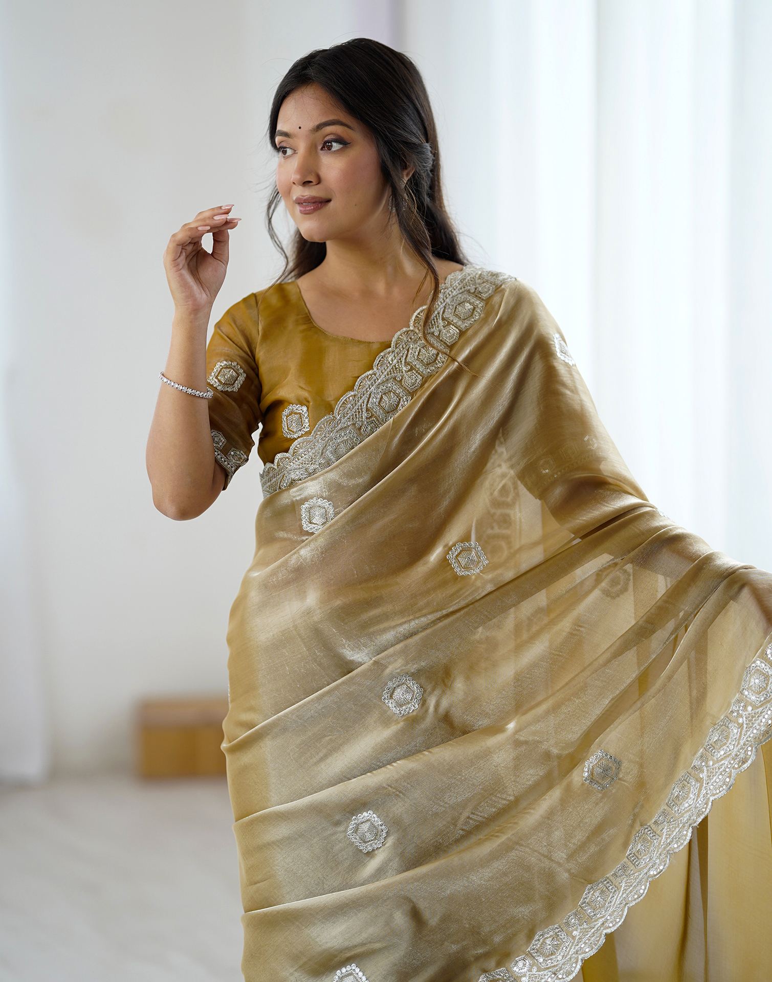 Dark Beige Tissue Silk Embroidery Saree