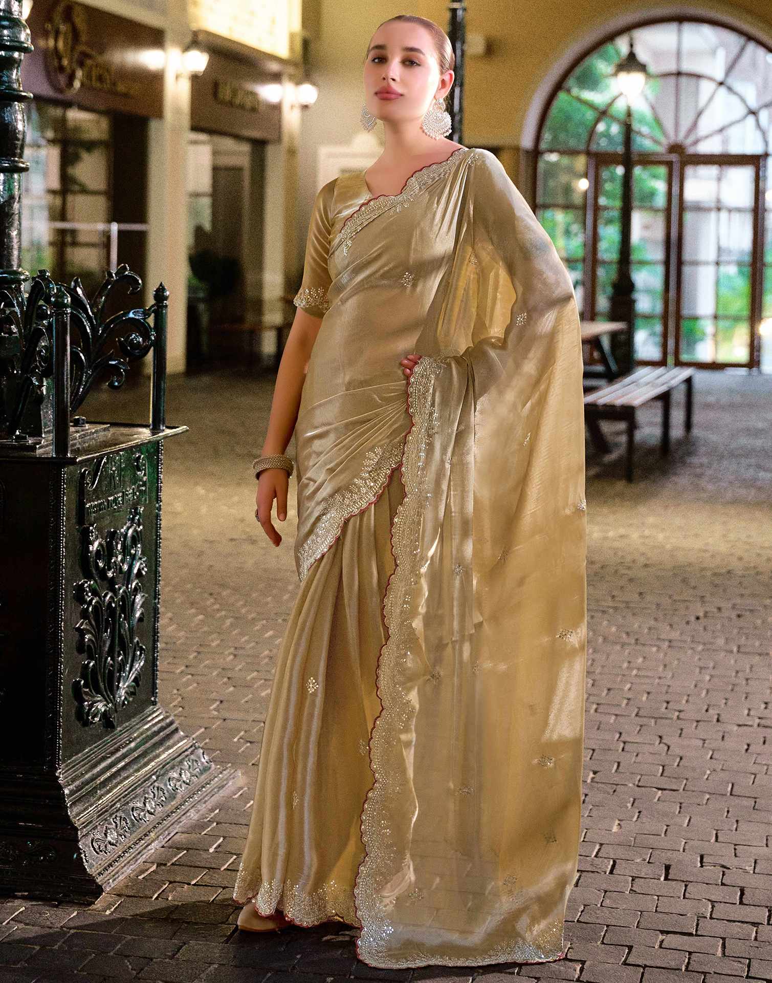 Dark Beige Tissue Silk Sequence Embroidery Saree