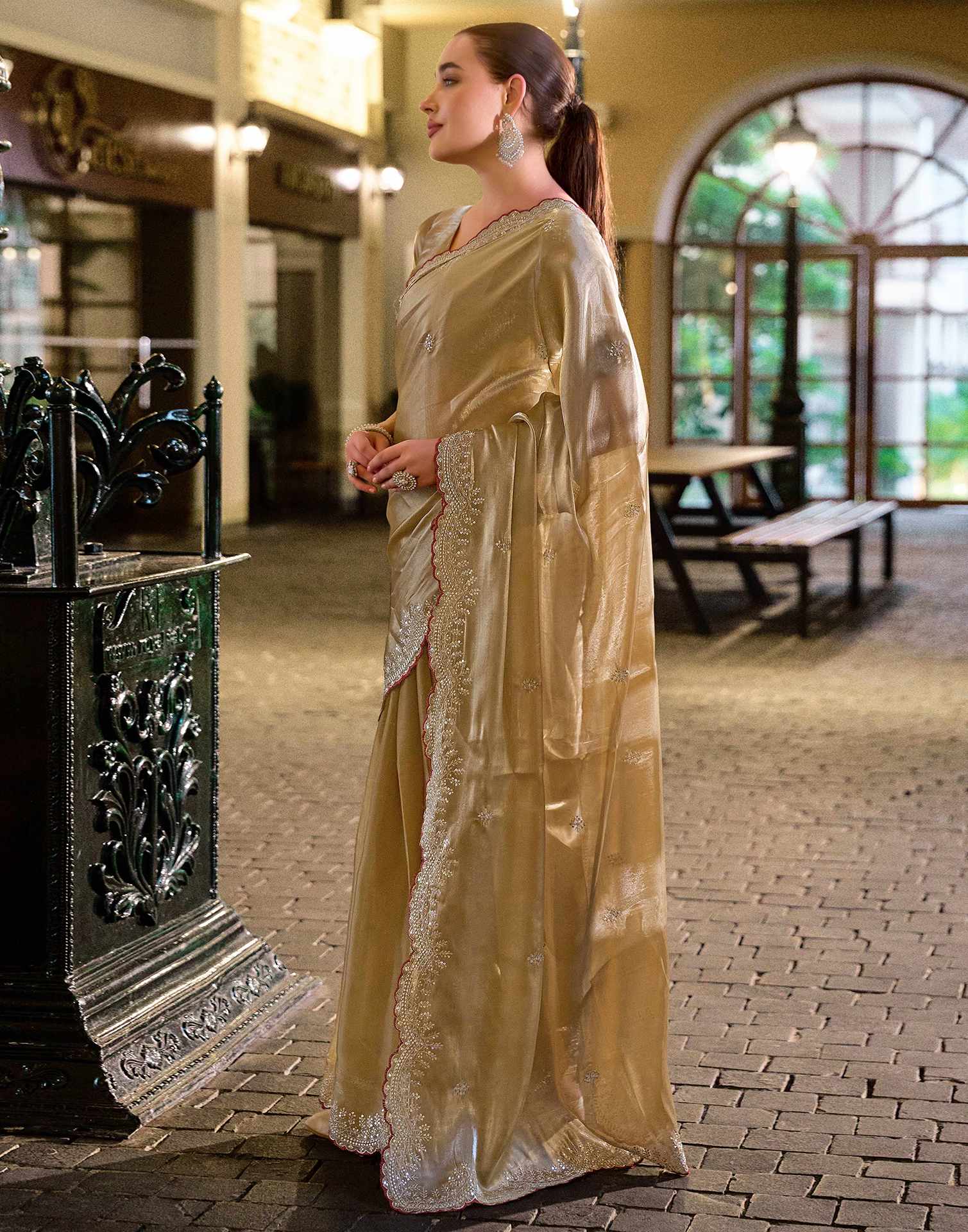 Dark Beige Tissue Silk Sequence Embroidery Saree