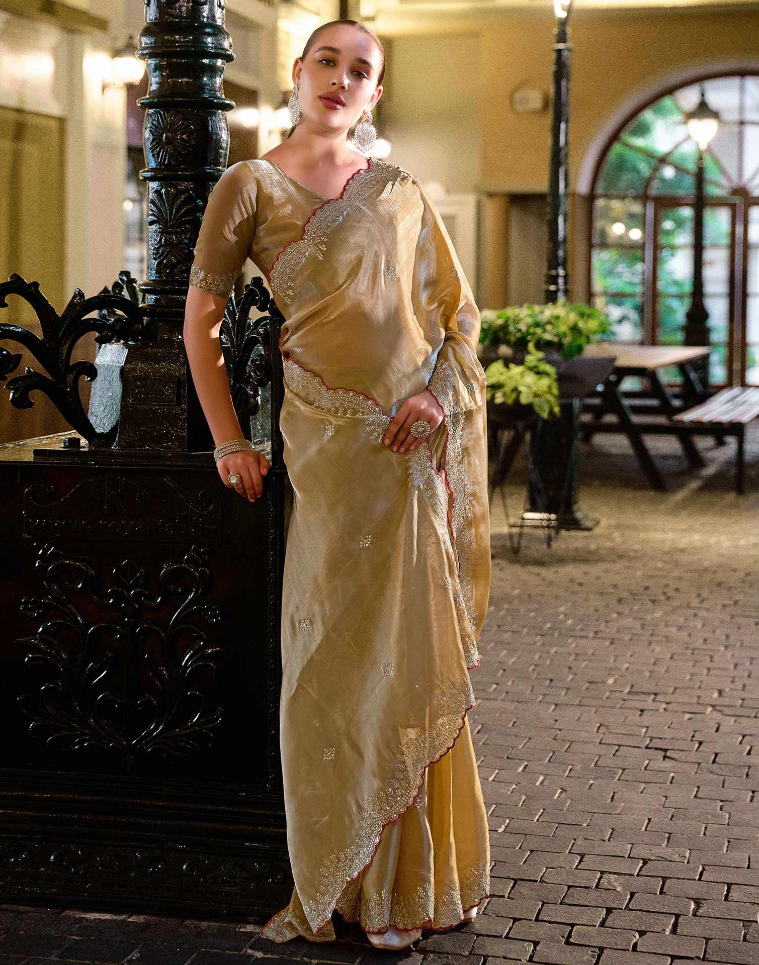 Dark Beige Tissue Silk Sequence Embroidery Saree