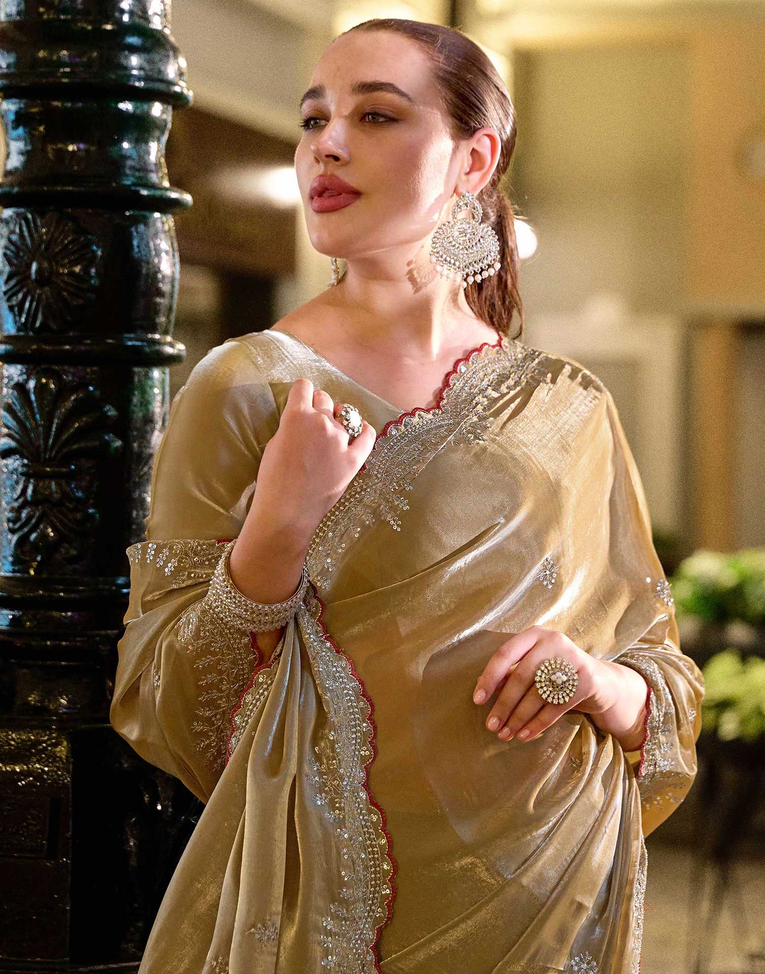 Dark Beige Tissue Silk Sequence Embroidery Saree