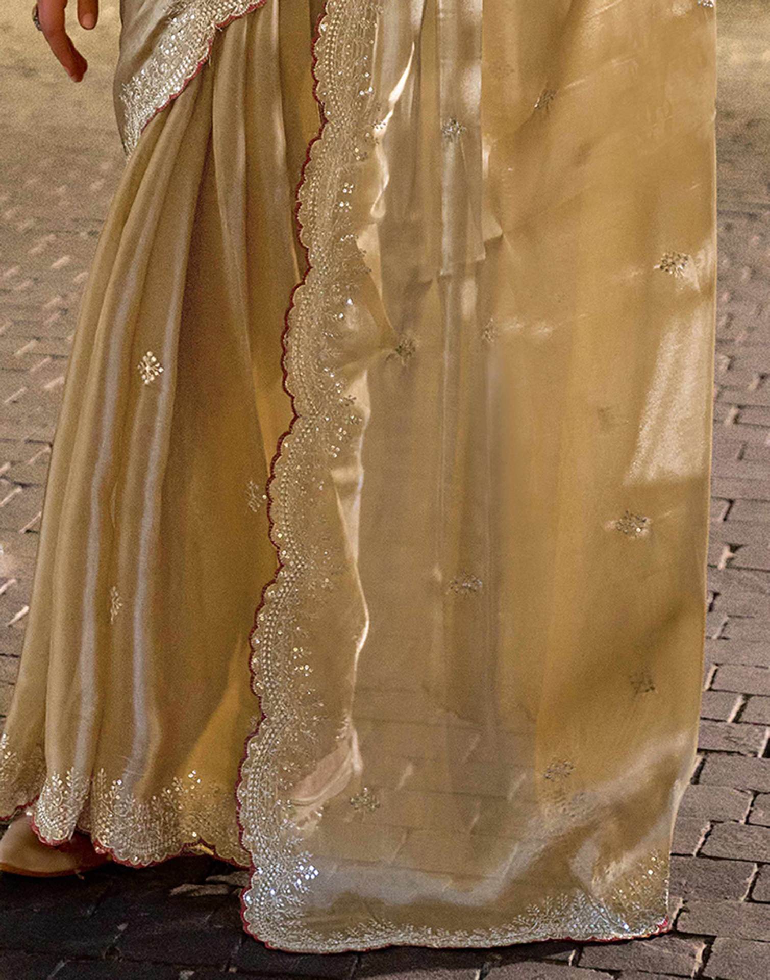 Dark Beige Tissue Silk Sequence Embroidery Saree