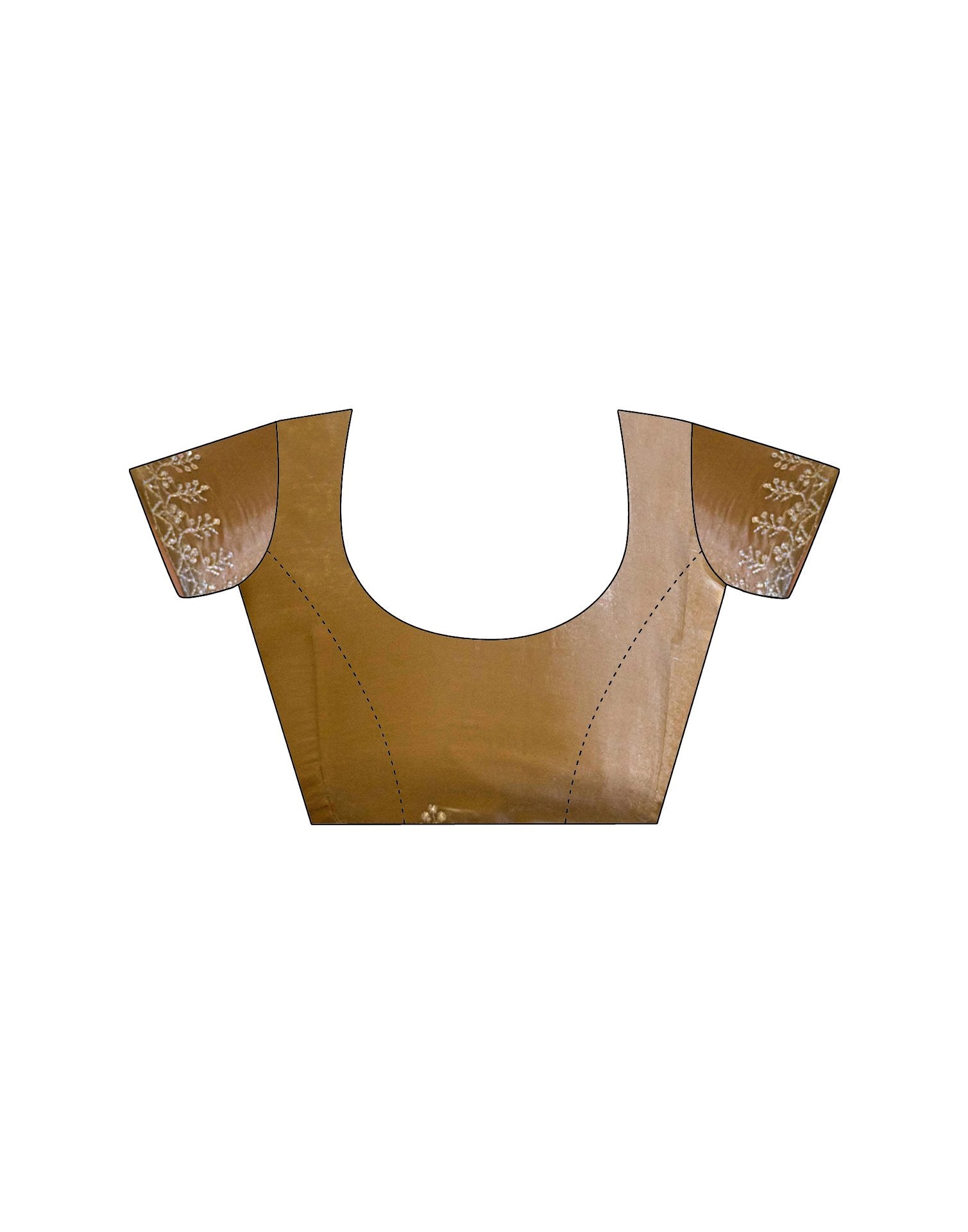 Dark Beige Tissue Silk Sequence Embroidery Saree