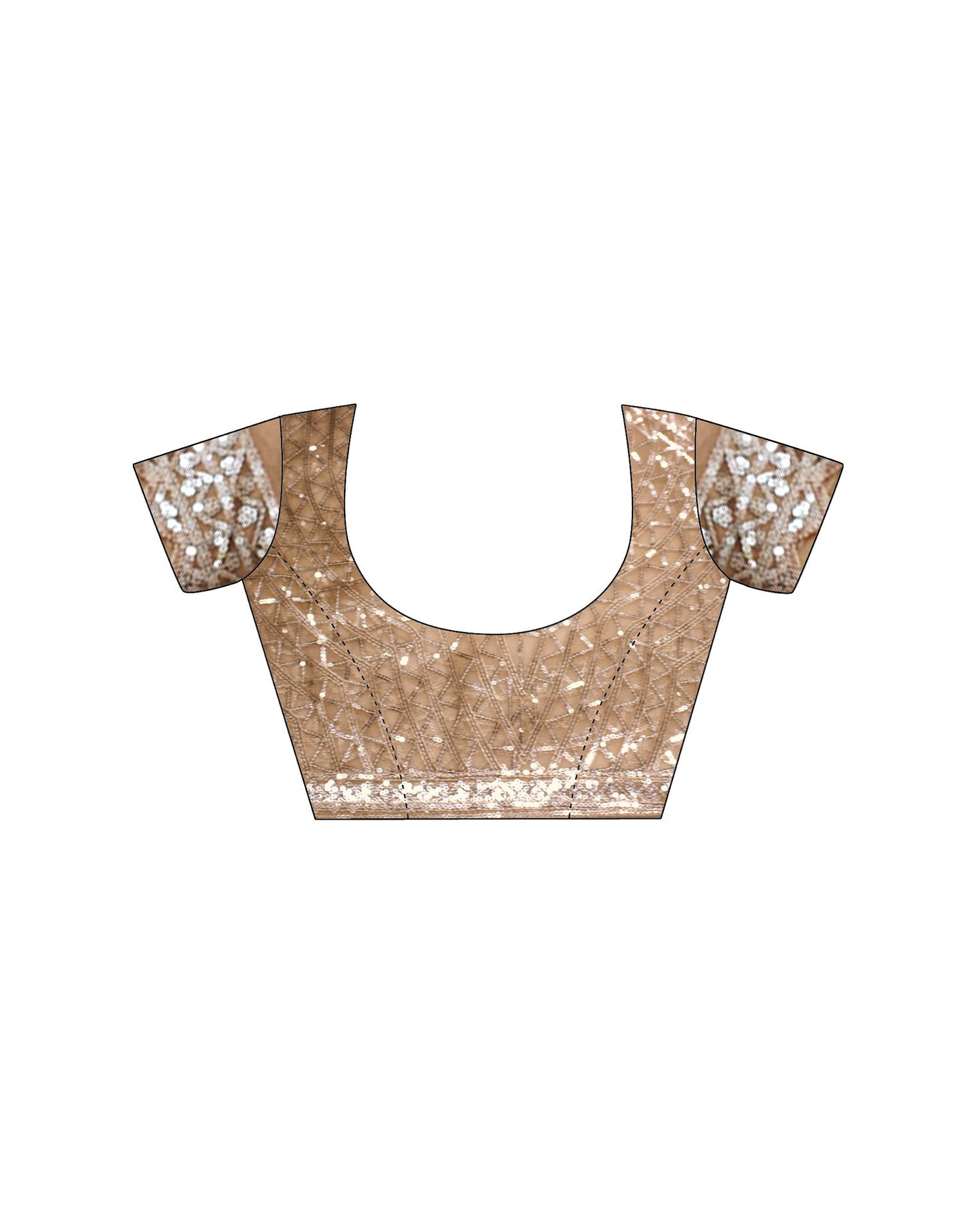 Dark Beige Net Sequence Saree