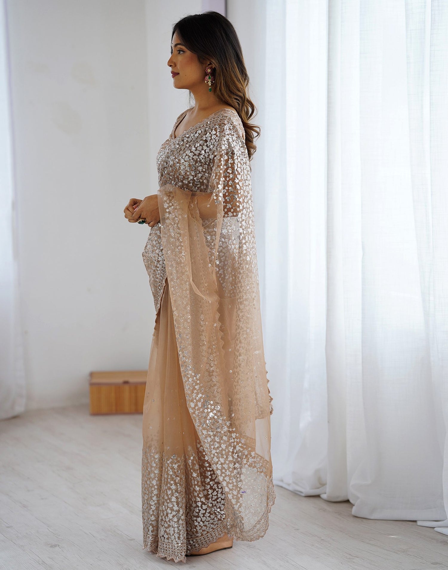 Dark Beige Net Sequence Saree