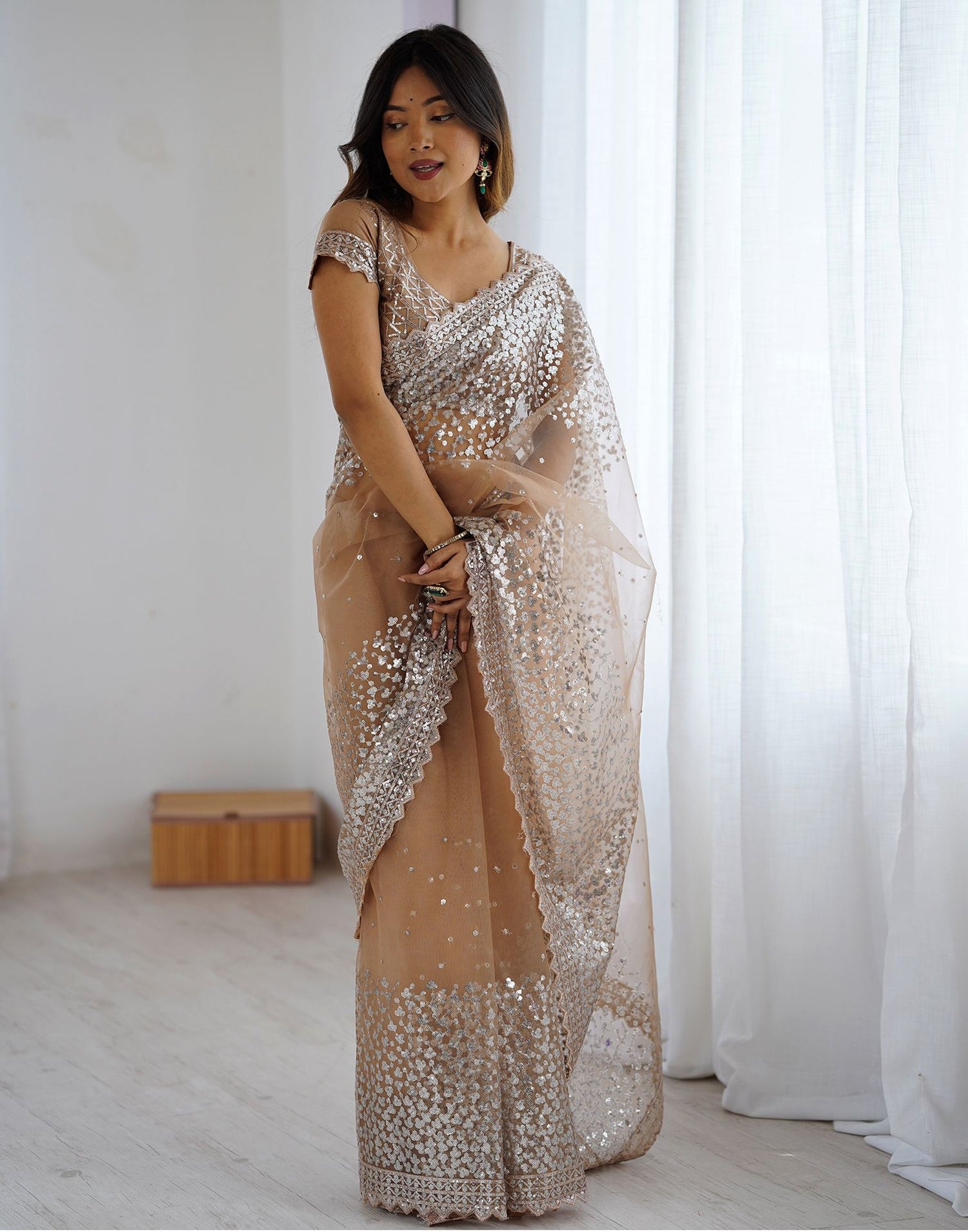 Dark Beige Net Sequence Saree