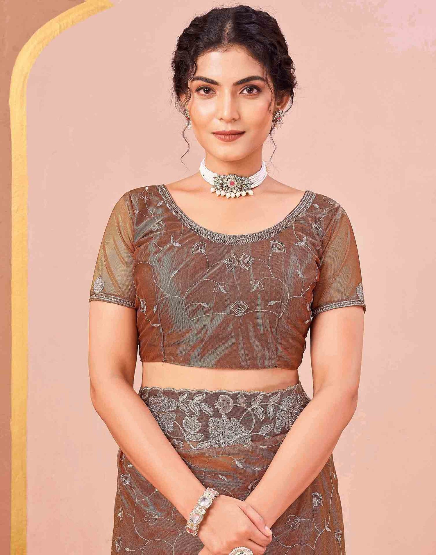 Brown Shimmer Net Embroidery Saree