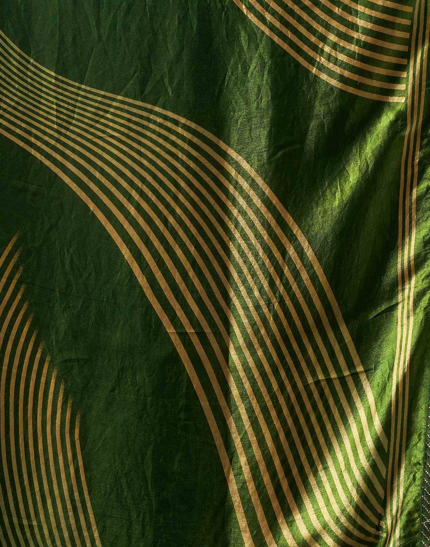 Green Organza Printed Swarovski Saree