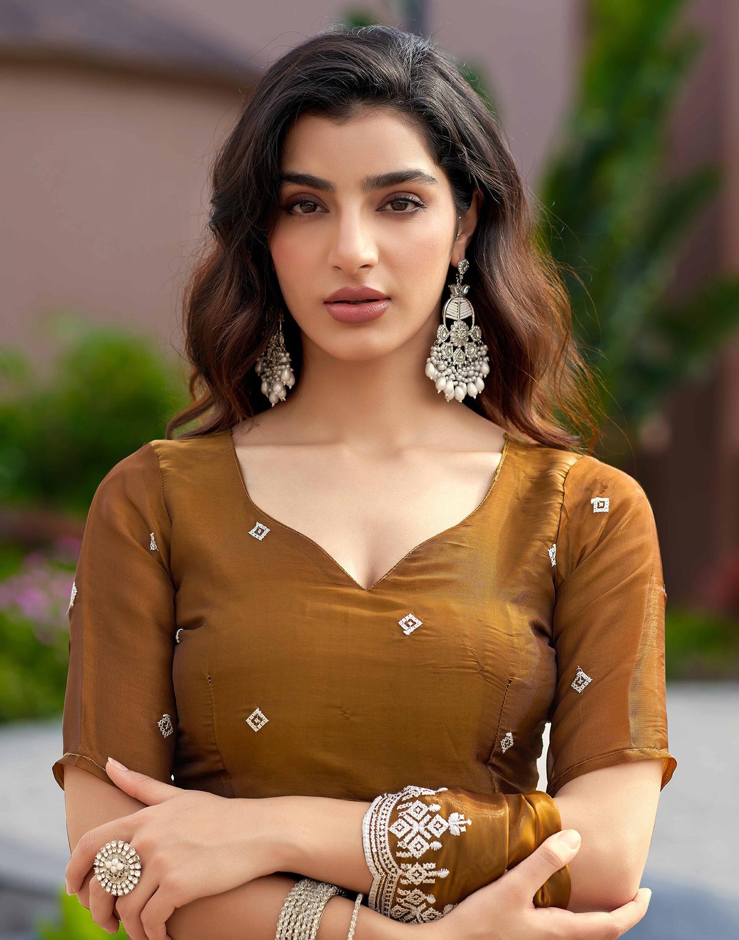 Brown Shimmer Sequence Embroidery Saree