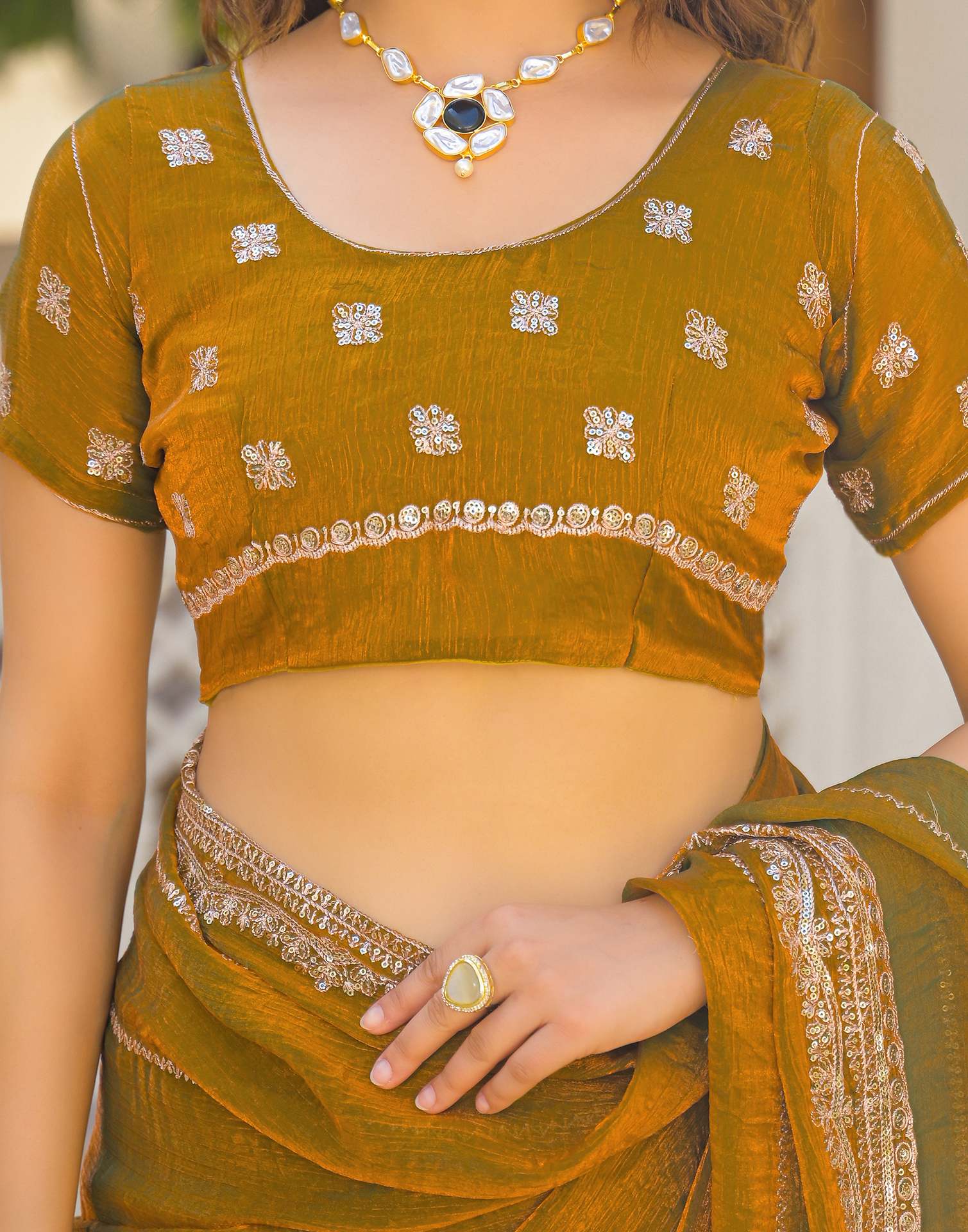 Brown Shimmer Sequence Embroidery Saree