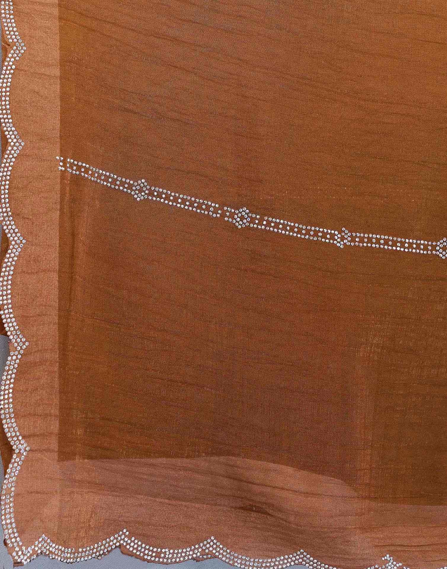 Brown Shimmer Stone Work Embellished Saree