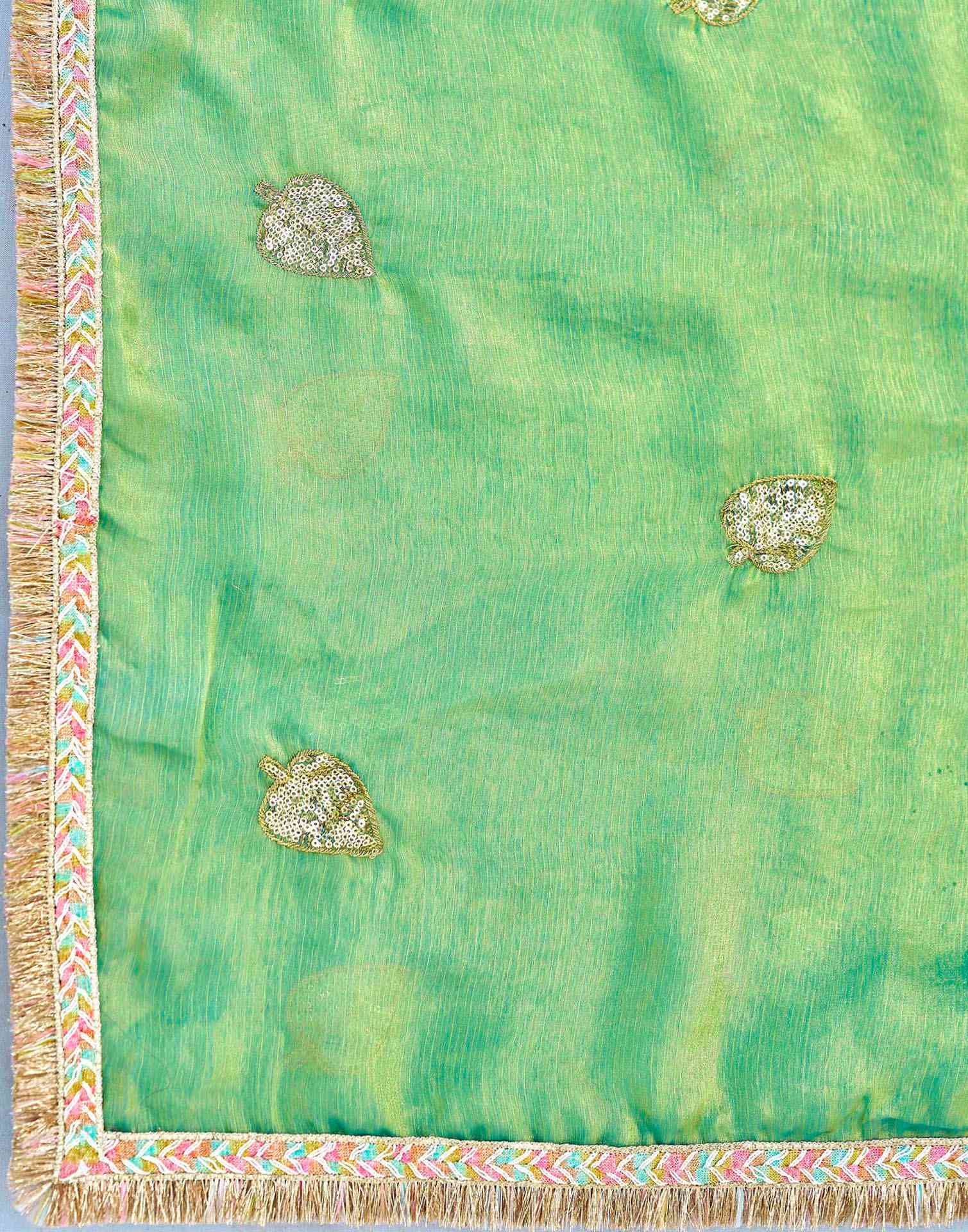 Parrot Green Shimmer Sequence Embroidery Saree