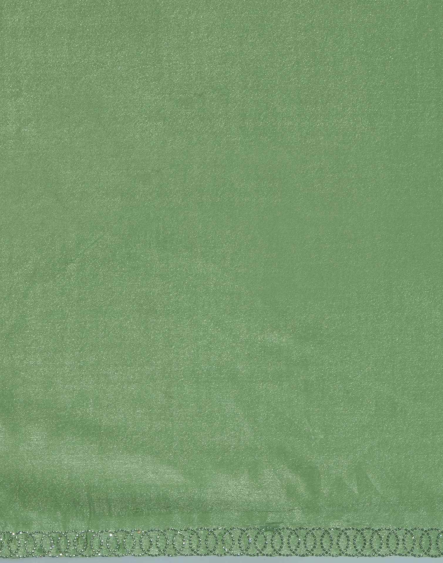 Pista Green Chiffon Stone Work Embellished Saree