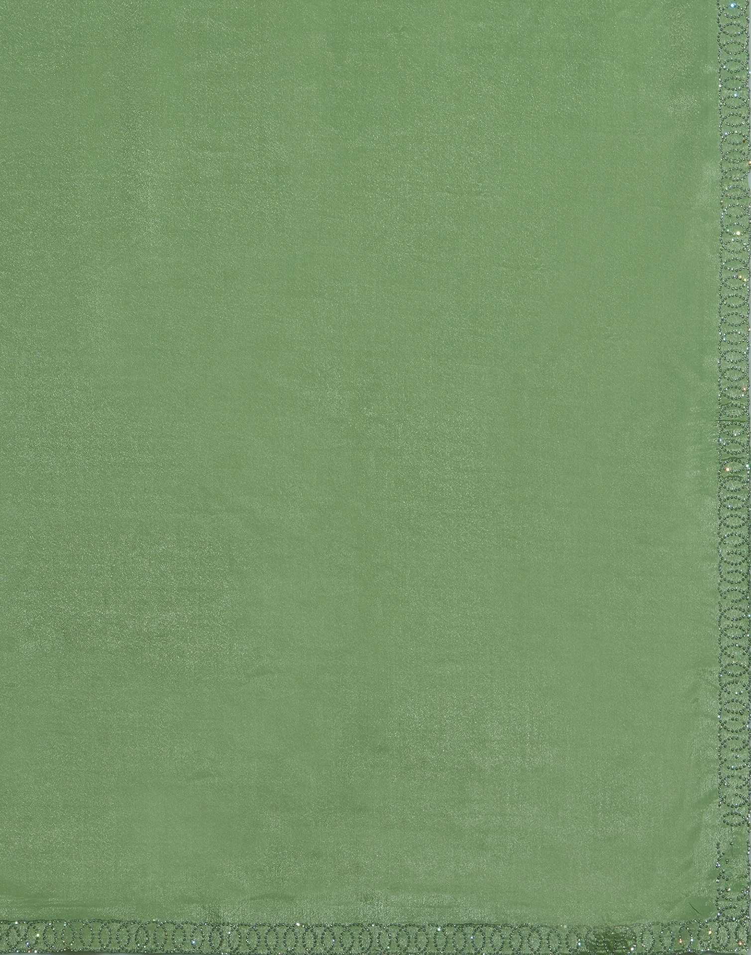 Pista Green Chiffon Stone Work Embellished Saree