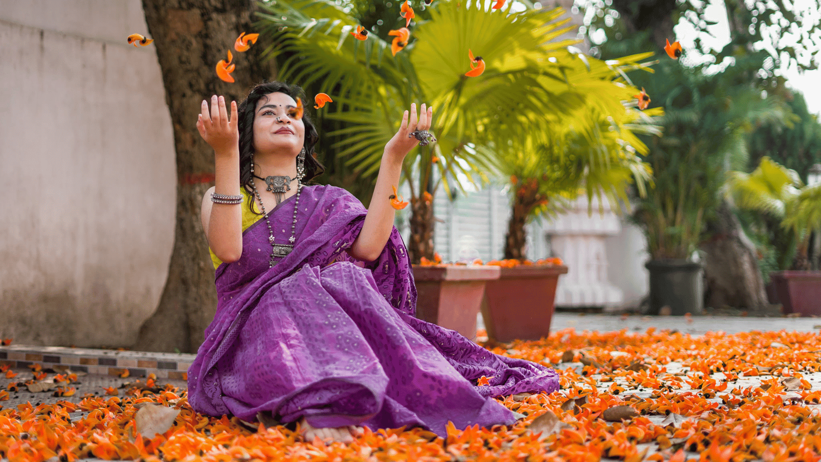 Indian Festival Sarees