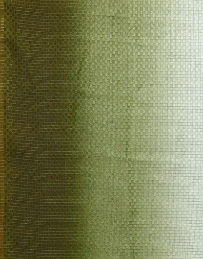 Light Green Silk Geometric Woven Saree | Sudathi