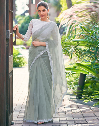 Grey Shimmer Dyed Embellished Saree