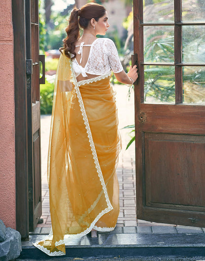 Turmeric Yellow Shimmer Dyed Embellished Saree