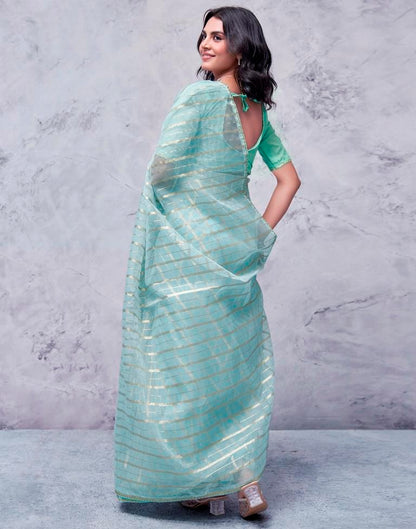 Sky Blue Organza Plain Saree