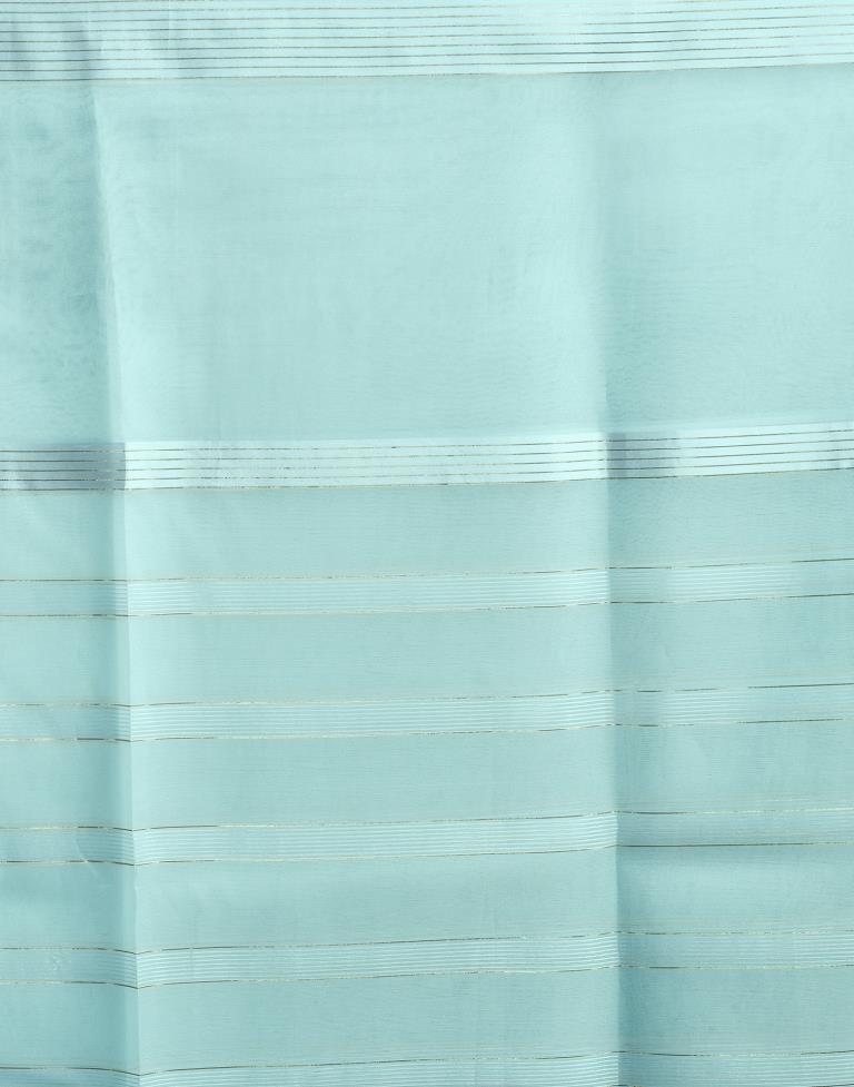 Sky Blue Organza Plain Saree