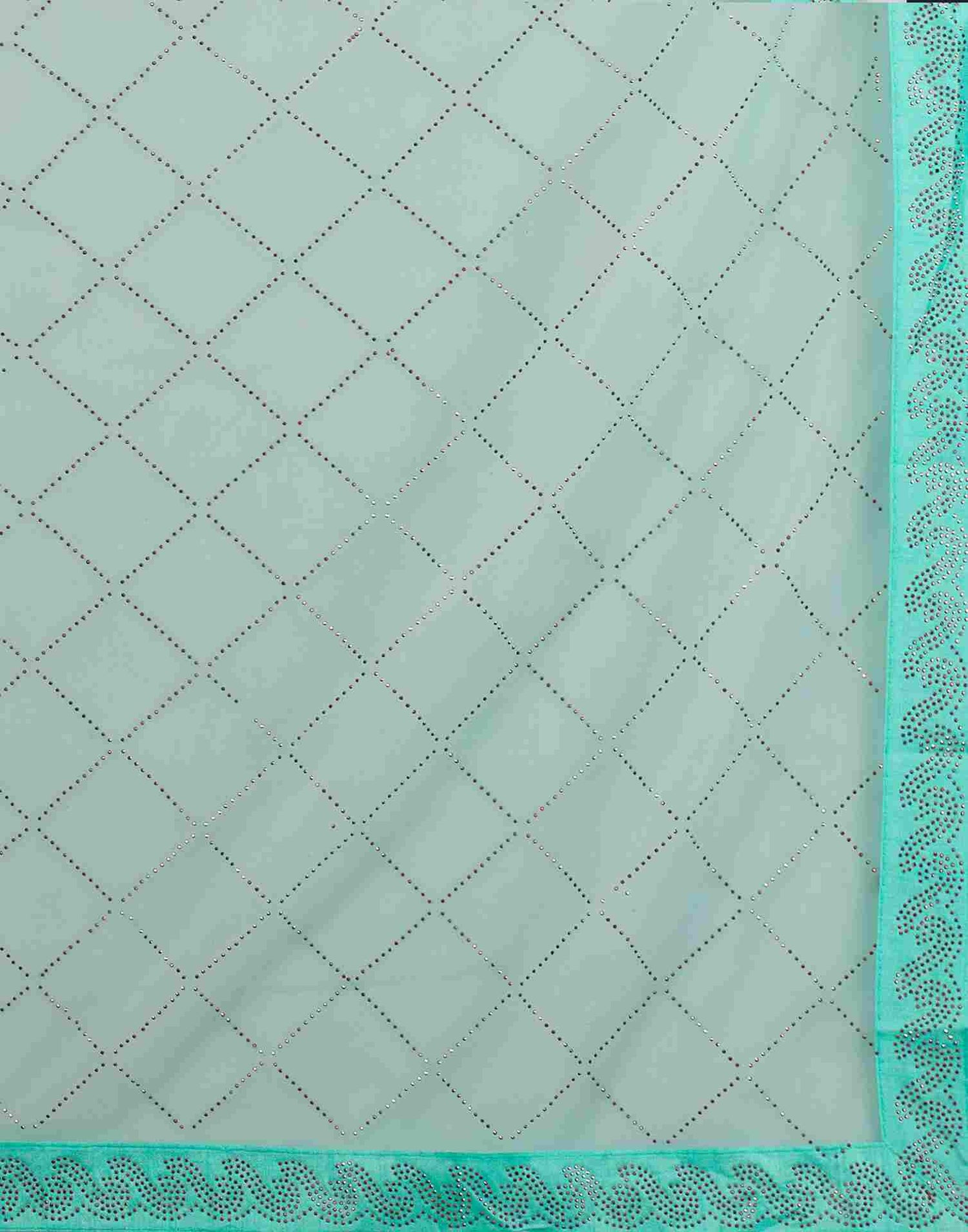 Pale Turquoise Net Plain Printed Saree