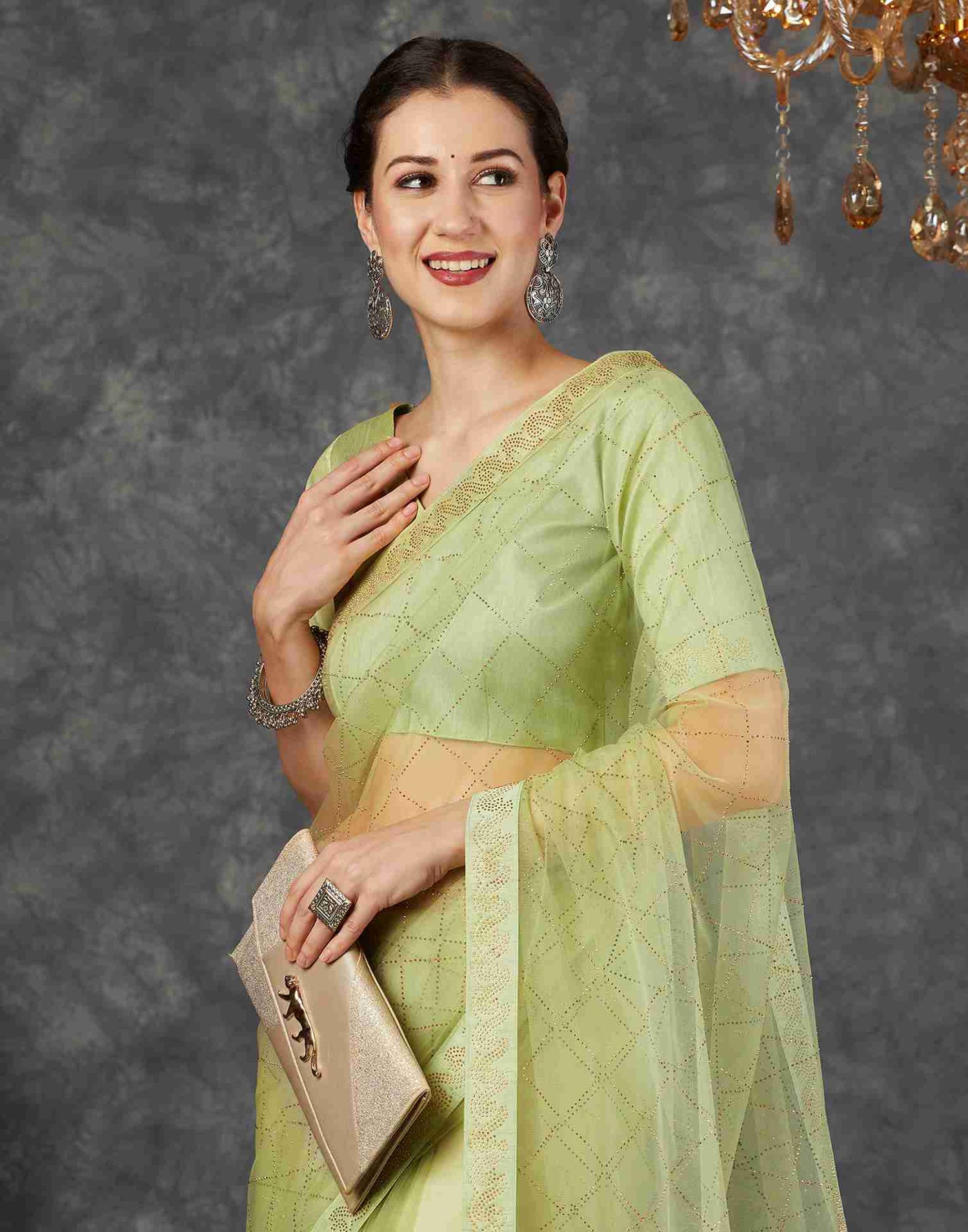 Tea Green Net Plain Printed Saree