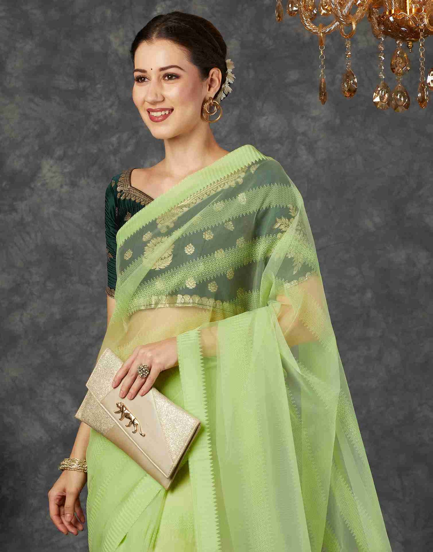 Light Green Net Plain Saree