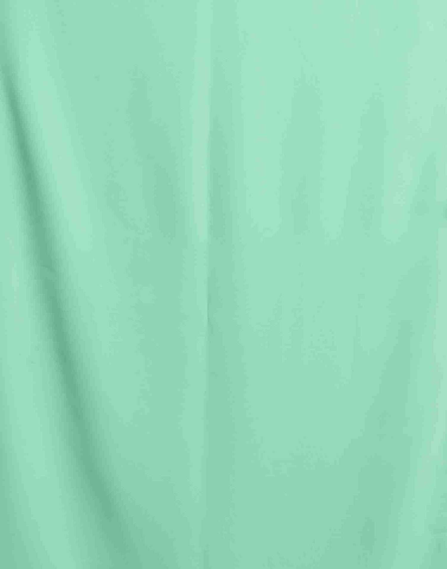 Mint Green Georgette Plain Saree