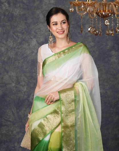 Green Organza Plain Woven Saree