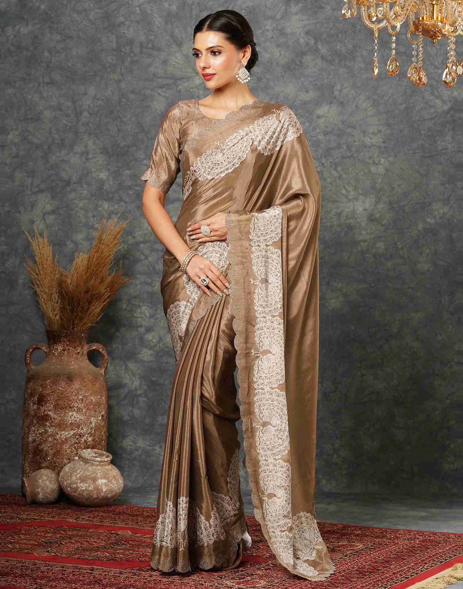 Peanut Brown Silk Stone Work Swarovski Saree