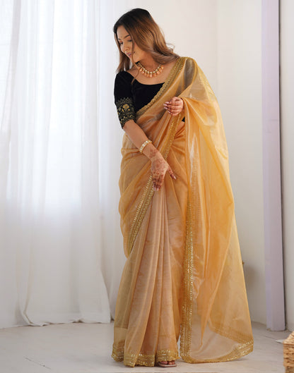 Peanut Brown Net Embroidery Embellished Saree