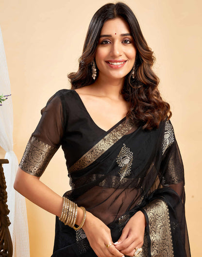 Black Organza Sequence  Embroidery Saree