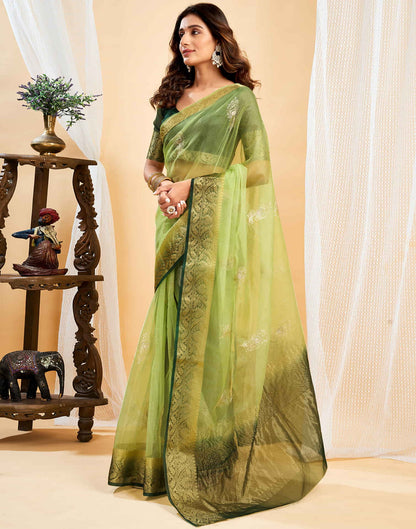 Light Pista Green Organza Sequence  Embroidery Saree