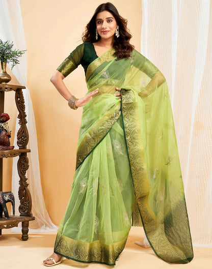 Light Pista Green Organza Sequence  Embroidery Saree