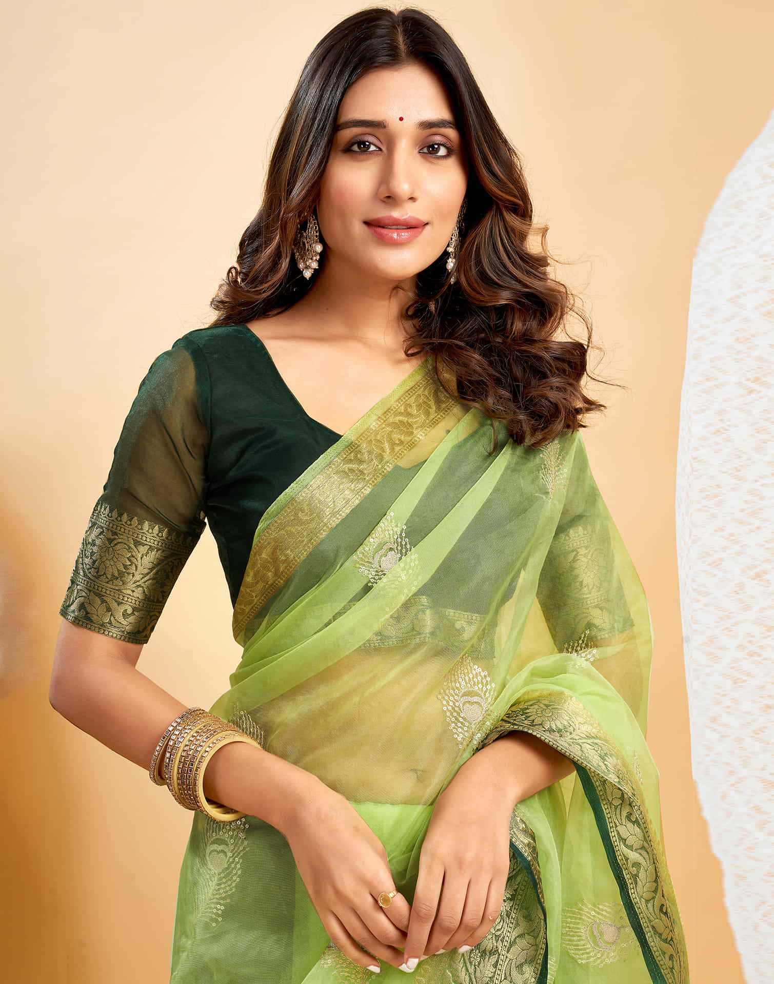 Light Pista Green Organza Sequence  Embroidery Saree