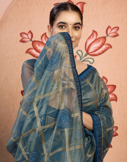 Blue Shimmer Embroidery Embellished Saree