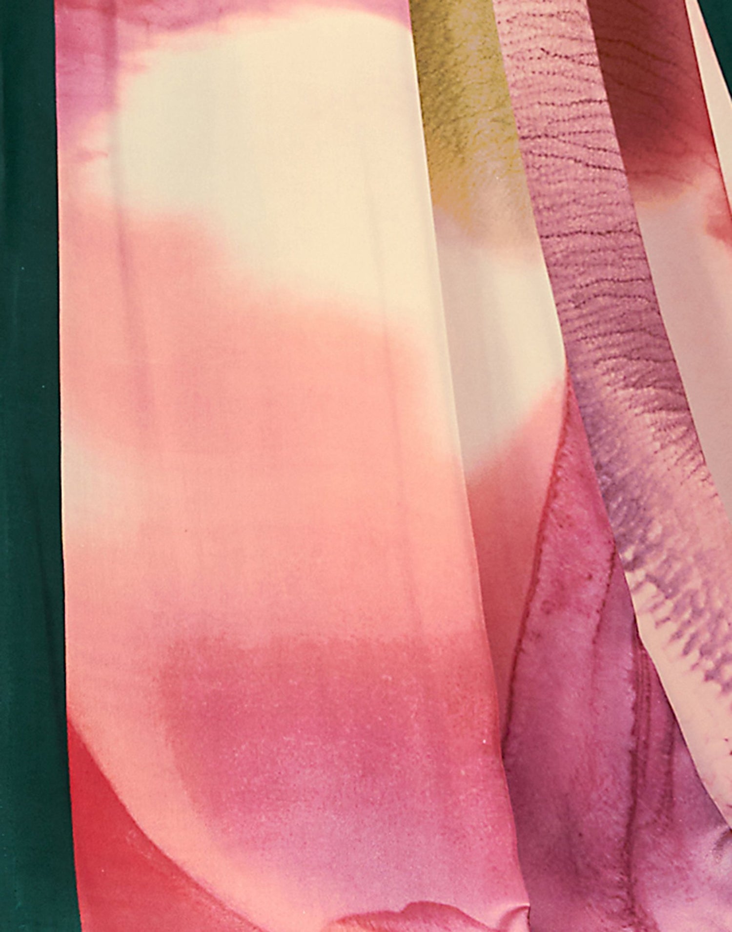 Green Polyester  Printed Printed Saree